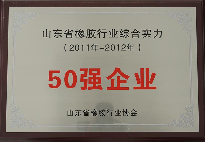山东省橡胶行业综合实力50强企业